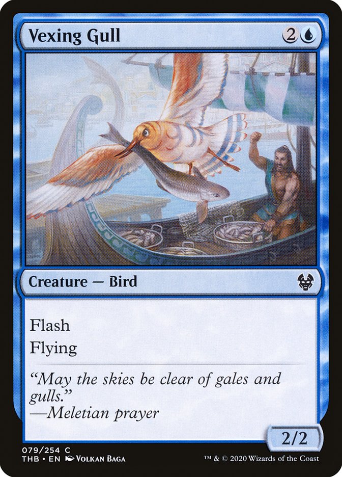 Vexing Gull 79/254 (Theros Beyond Death)  | Chromatic Games