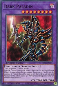 Dark Paladin [SBCB-EN021] Common | Chromatic Games