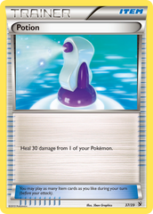 Potion (37/39) [XY: Kalos Starter Set] | Chromatic Games