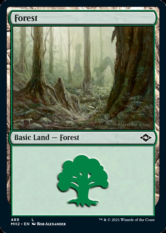 Forest (489) (Foil Etched) [Modern Horizons 2] | Chromatic Games