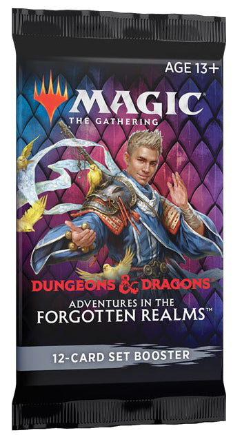 Dungeons & Dragons: Adventures in the Forgotten Realms - Set Booster Pack | Chromatic Games