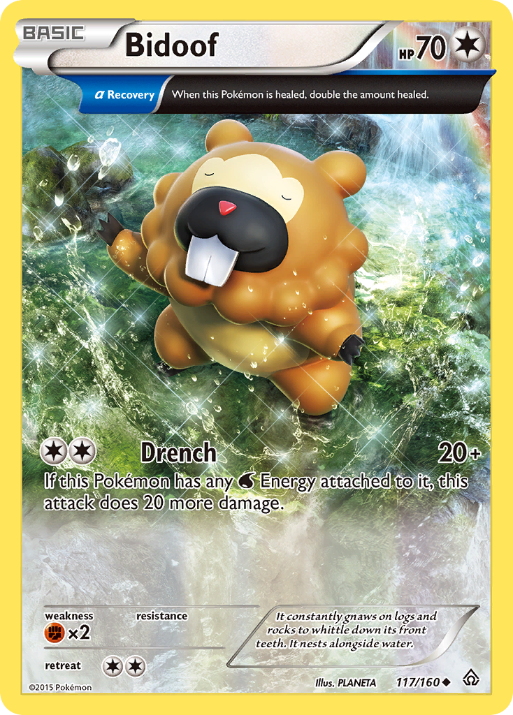 Bidoof (117/160) [XY: Primal Clash] | Chromatic Games