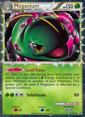 Meganium (HGSS08) [HeartGold & SoulSilver: Black Star Promos] | Chromatic Games