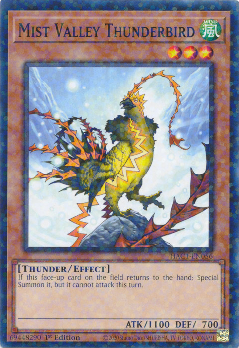 Mist Valley Thunderbird (Duel Terminal) [HAC1-EN056] Common | Chromatic Games