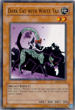 Dark Cat with White Tail [DR1-EN138] Common | Chromatic Games