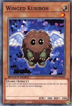 Winged Kuriboh [SGX1-ENA06] Common | Chromatic Games