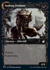 Shady Traveler // Stalking Predator (Showcase Equinox) [Innistrad: Midnight Hunt] | Chromatic Games