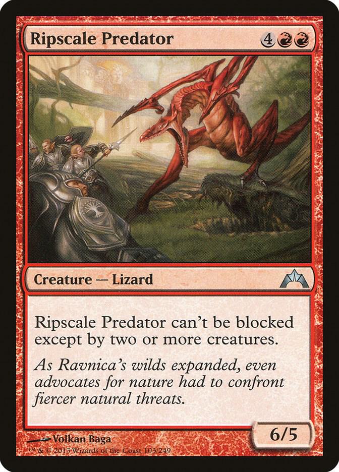 Ripscale Predator 103/249 (Gatecrash)  | Chromatic Games