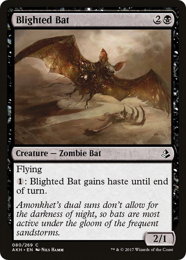 Blighted Bat 80/269 (Amonkhet)  | Chromatic Games
