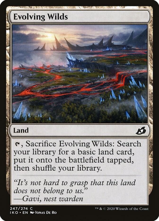 Evolving Wilds 247/274 (Ikoria: Lair of Behemoths)  - Foil | Chromatic Games