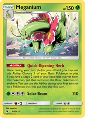 Meganium (8/214) [Sun & Moon: Lost Thunder] | Chromatic Games