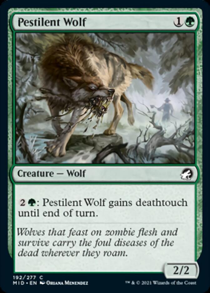 Pestilent Wolf [Innistrad: Midnight Hunt] | Chromatic Games