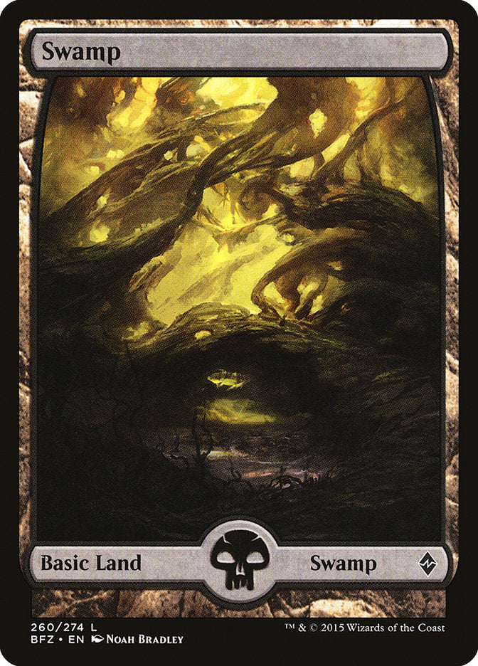 Swamp (260) (Full Art) [Battle for Zendikar] | Chromatic Games