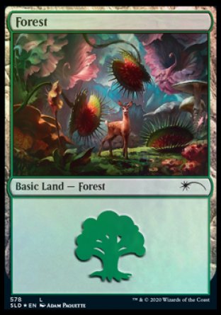 Forest (Predatory) (578) [Secret Lair Drop Promos] | Chromatic Games