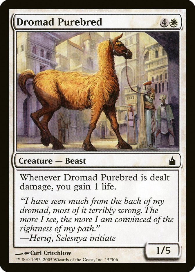 Dromad Purebred [Ravnica: City of Guilds] | Chromatic Games