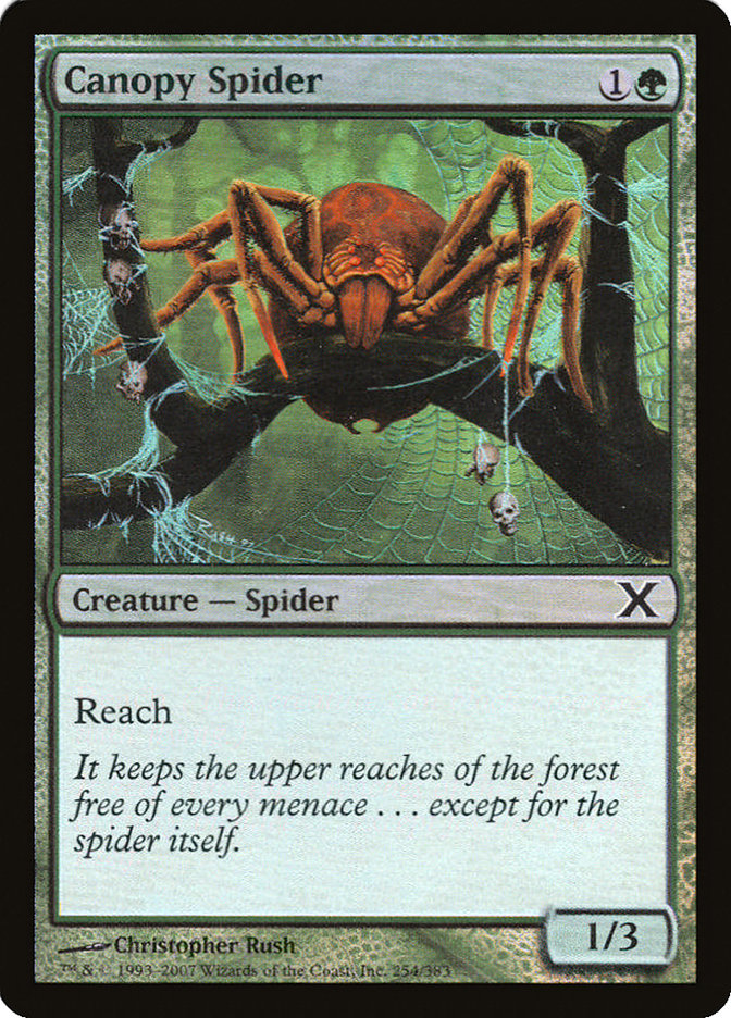 Canopy Spider (Premium Foil) [Tenth Edition] | Chromatic Games