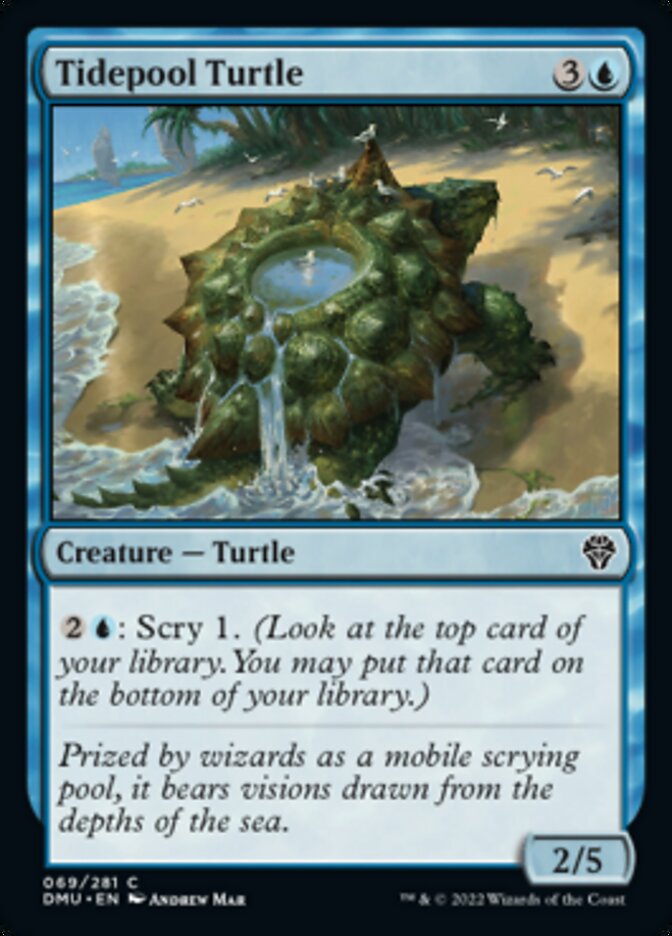 Tidepool Turtle [Dominaria United] | Chromatic Games