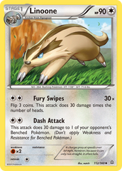 Linoone (112/160) [XY: Primal Clash] | Chromatic Games