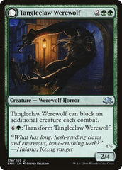 Tangleclaw Werewolf // Fibrous Entangler [Eldritch Moon] | Chromatic Games