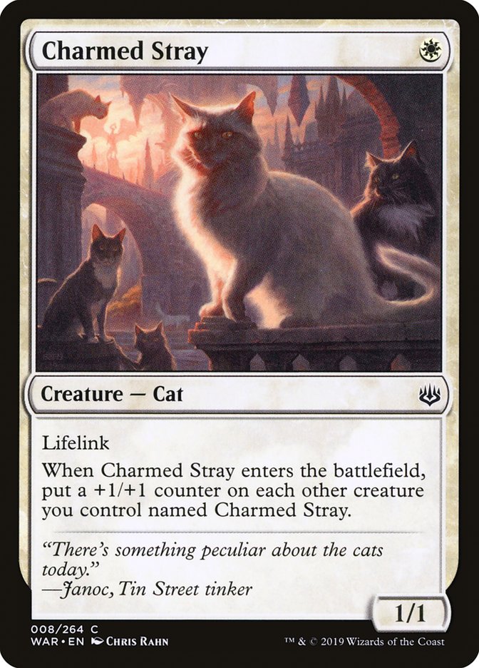 Charmed Stray [War of the Spark] | Chromatic Games