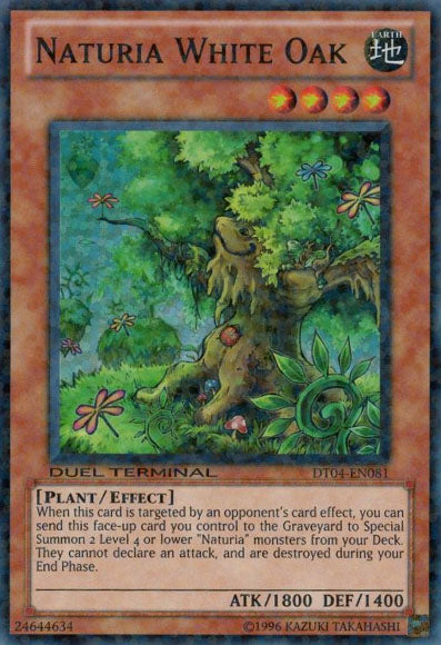 Naturia White Oak [DT04-EN081] Super Rare | Chromatic Games