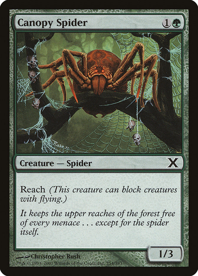 Canopy Spider [Tenth Edition] | Chromatic Games