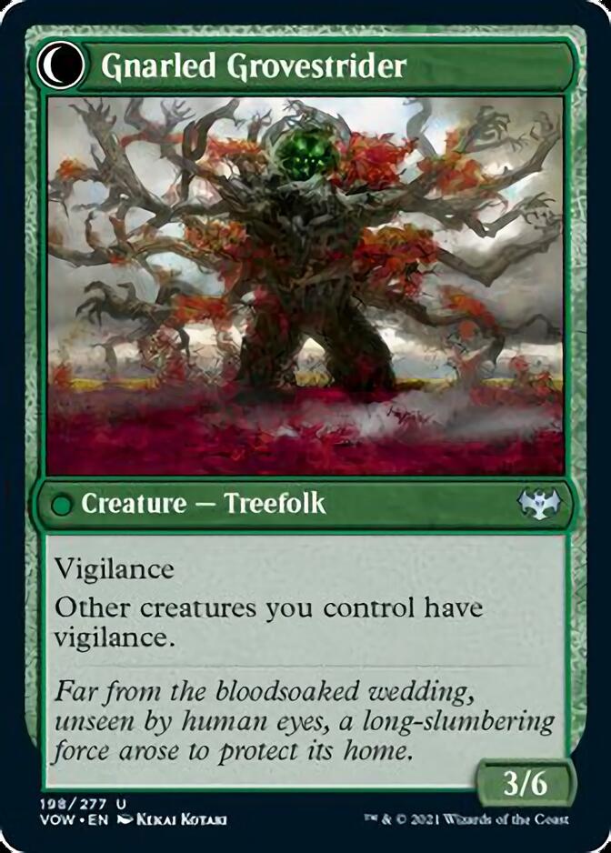 Dormant Grove // Gnarled Grovestrider [Innistrad: Crimson Vow] | Chromatic Games