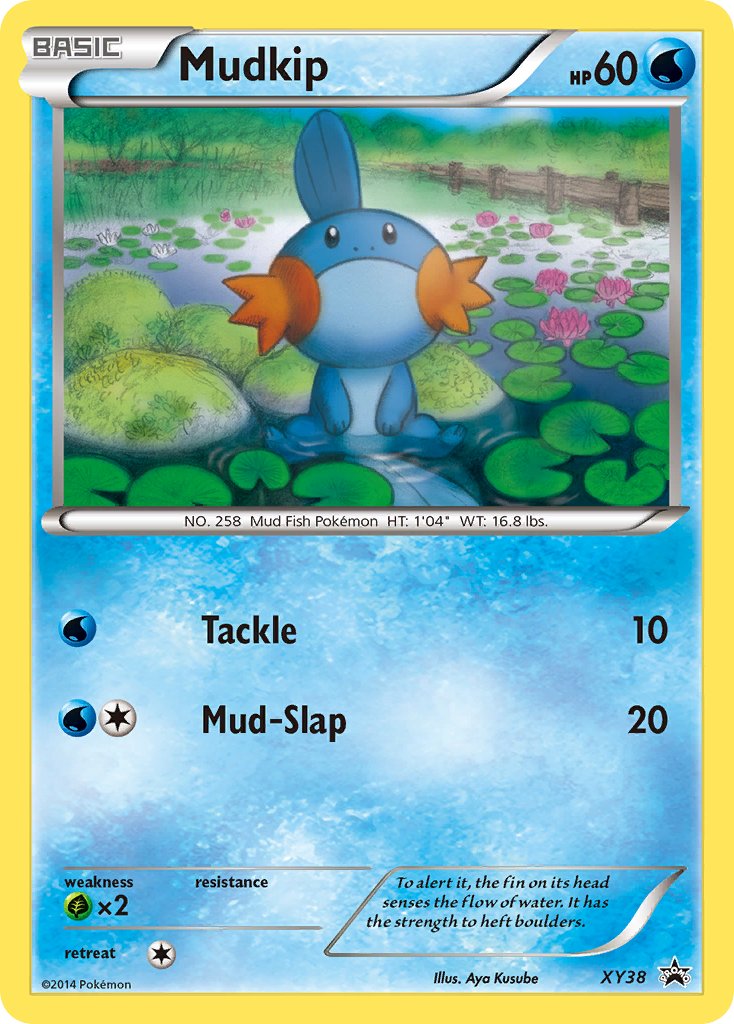 Mudkip (XY38) [XY: Black Star Promos] | Chromatic Games