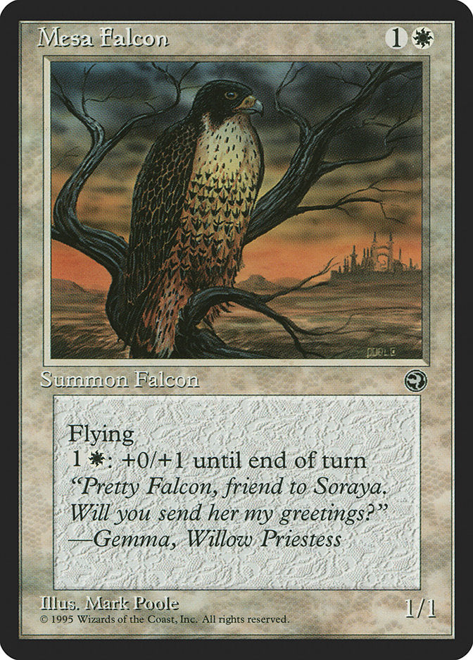 Mesa Falcon (Gemma Flavor Text) [Homelands] | Chromatic Games