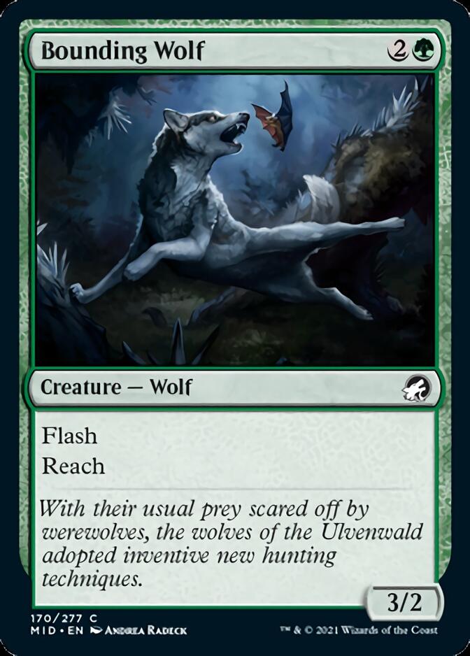 Bounding Wolf [Innistrad: Midnight Hunt] | Chromatic Games