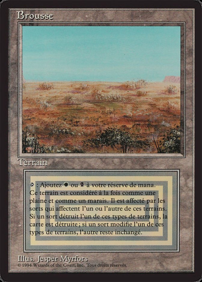 Scrubland [Foreign Black Border] | Chromatic Games