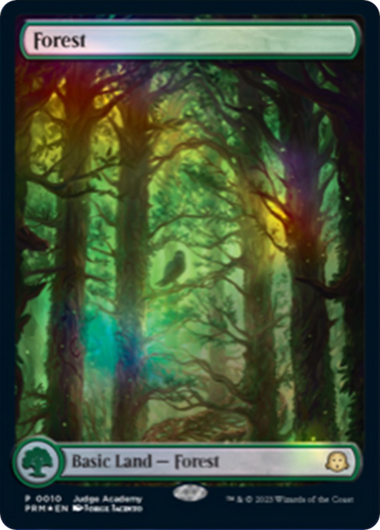 Forest [Judge Gift Cards 2023] | Chromatic Games