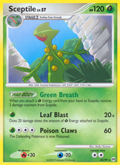 Sceptile (30/99) [Platinum: Arceus] | Chromatic Games