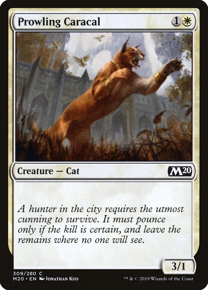 Prowling Caracal [Core Set 2020] | Chromatic Games