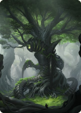 Forest Art Card [The Brothers' War Art Series] | Chromatic Games