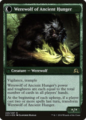 Sage of Ancient Lore // Werewolf of Ancient Hunger [Shadows over Innistrad Prerelease Promos] | Chromatic Games