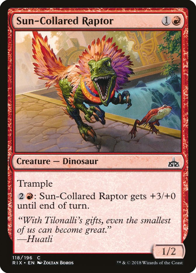 Sun-Collared Raptor [Rivals of Ixalan] | Chromatic Games