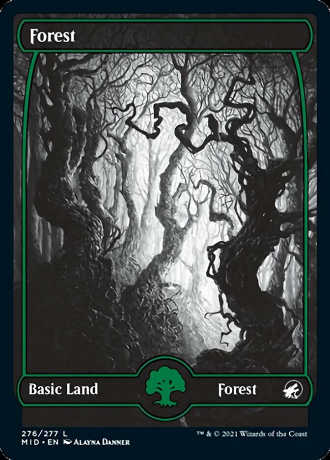 Forest (276) [Innistrad: Midnight Hunt] | Chromatic Games