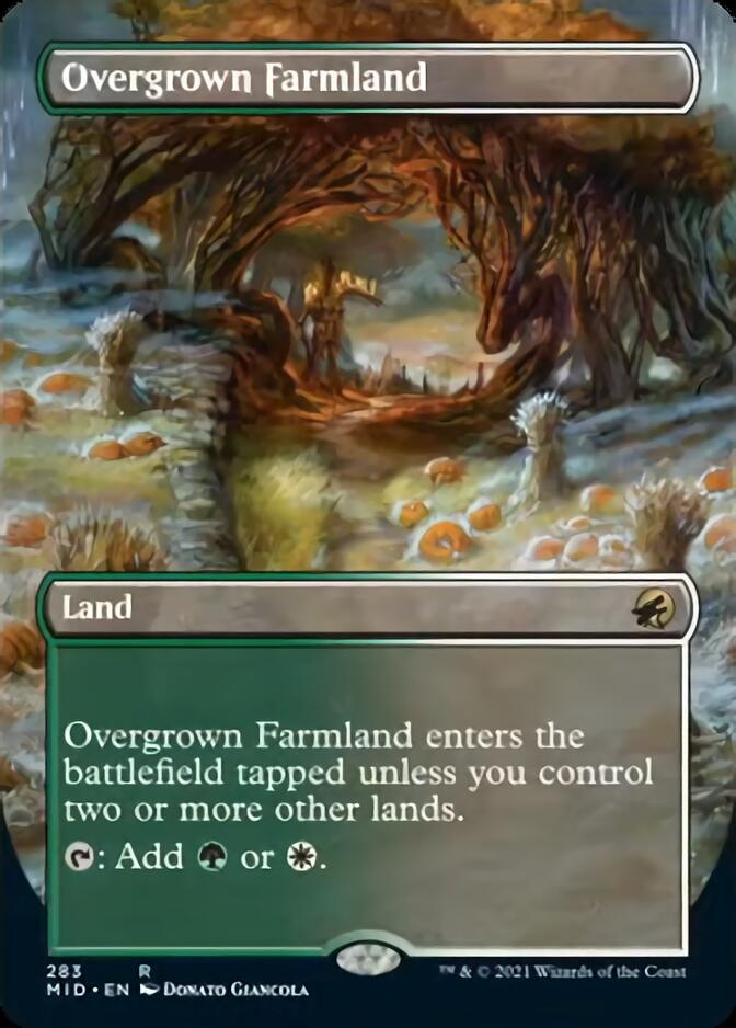 Overgrown Farmland (Borderless Alternate Art) [Innistrad: Midnight Hunt] | Chromatic Games