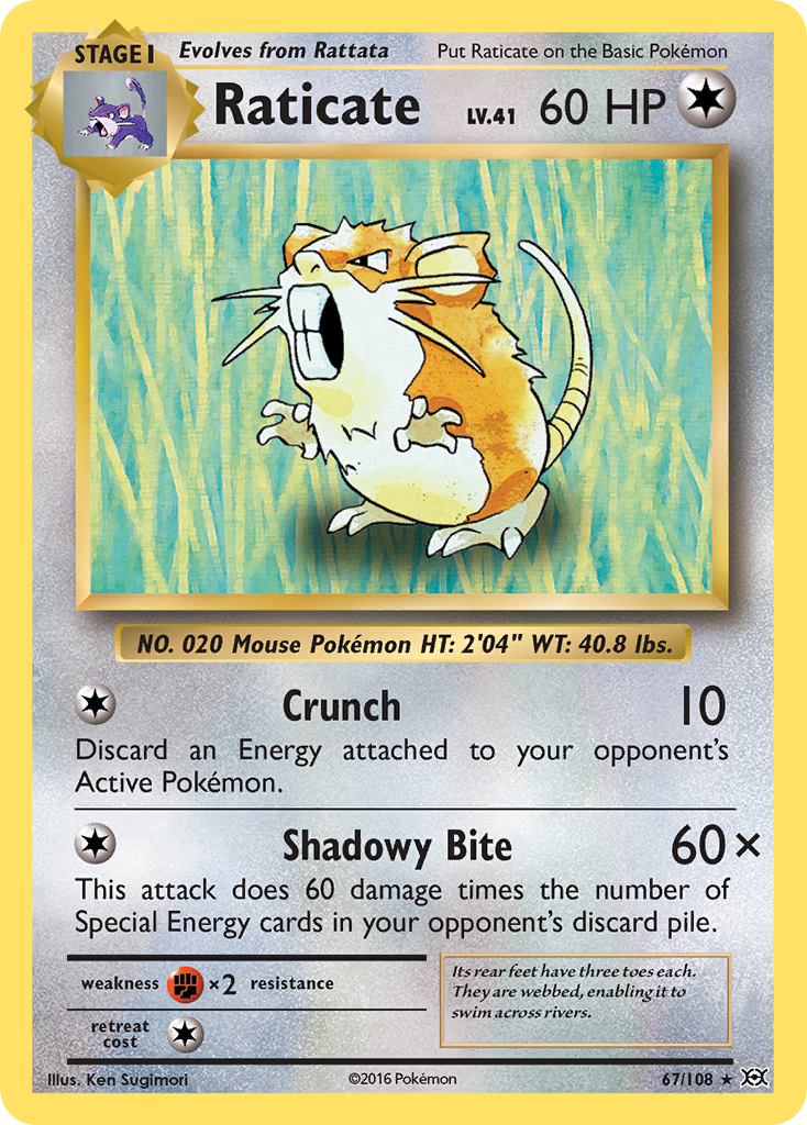 Raticate [Evolutions] | Chromatic Games