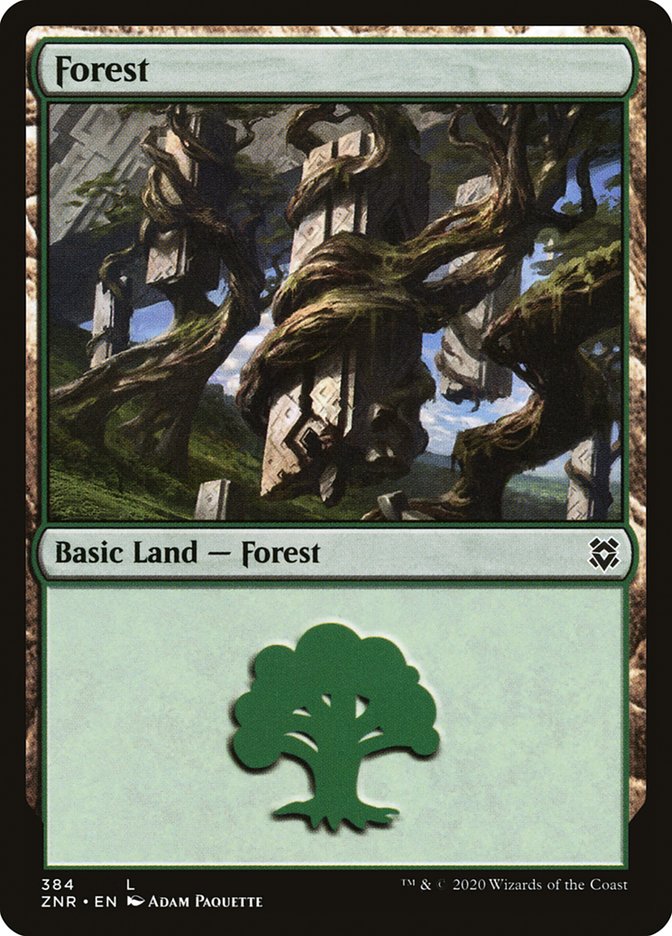 Forest (384) [Zendikar Rising] | Chromatic Games