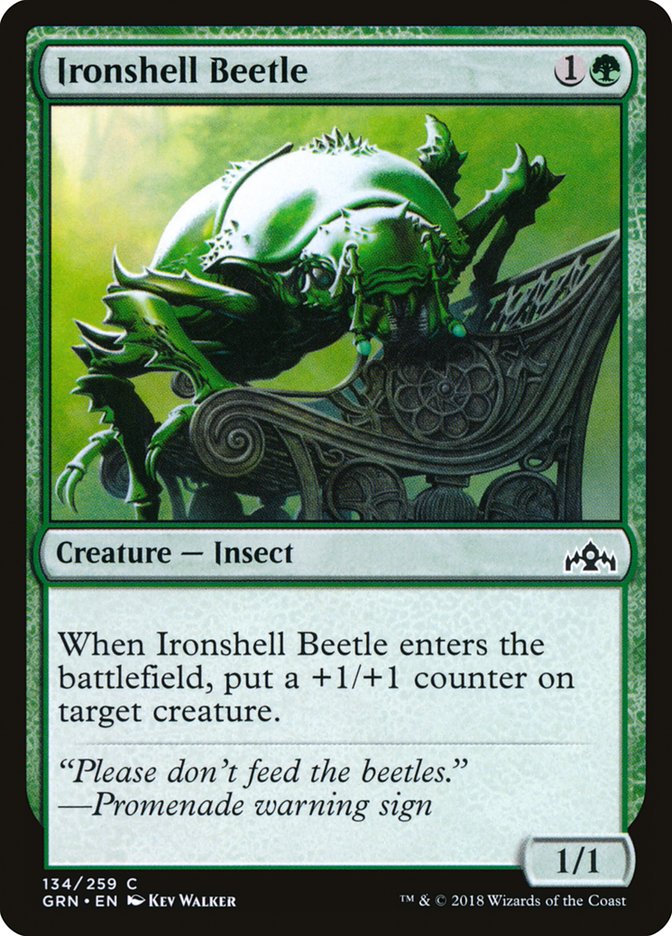 Ironshell Beetle [Guilds of Ravnica] | Chromatic Games