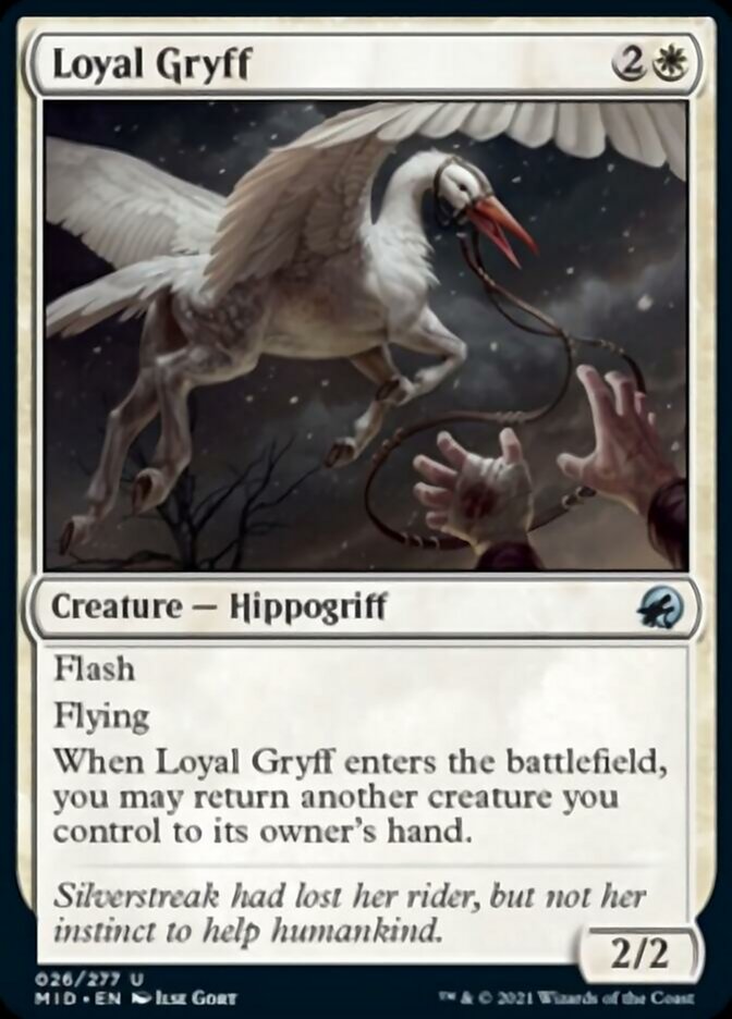 Loyal Gryff [Innistrad: Midnight Hunt] | Chromatic Games