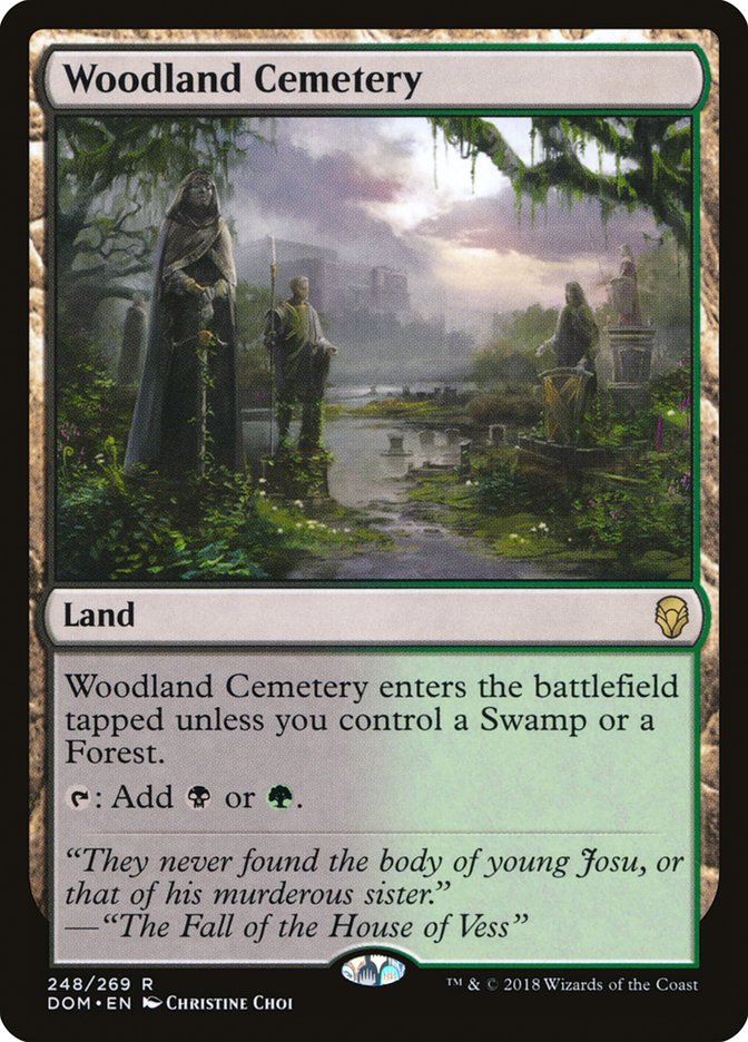 Woodland Cemetery [Dominaria] | Chromatic Games