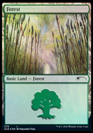 Forest (Elves) (579) [Secret Lair Drop Promos] | Chromatic Games