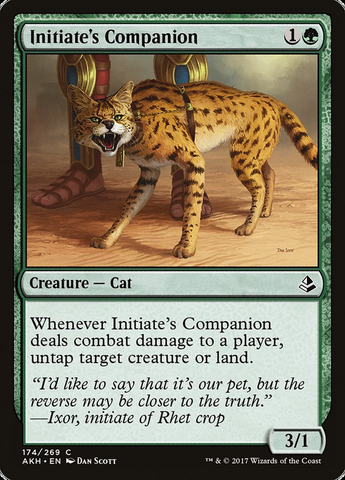 Initiate's Companion [Amonkhet] | Chromatic Games