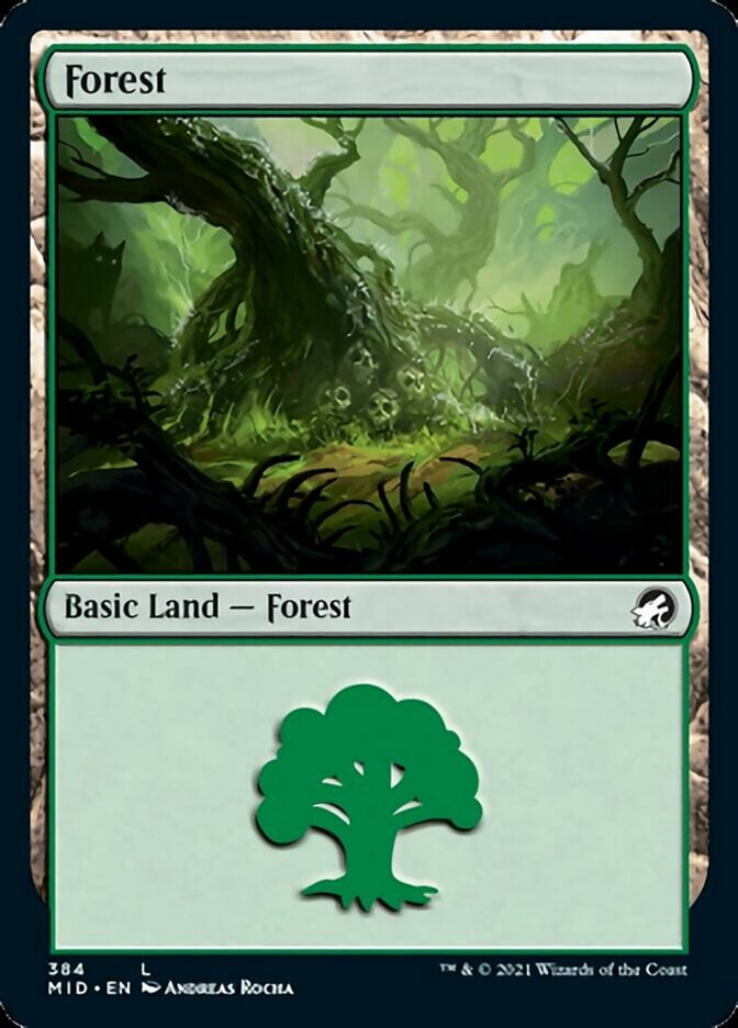 Forest (384) [Innistrad: Midnight Hunt] | Chromatic Games