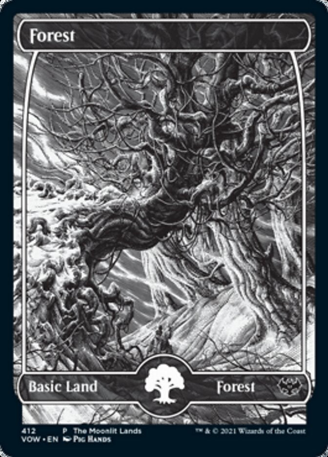 Forest (The Moonlit Lands) (Foil Etched) [Innistrad: Crimson Vow Promos] | Chromatic Games