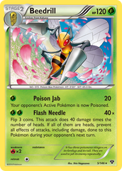 Beedrill (5/146) [XY: Base Set] | Chromatic Games