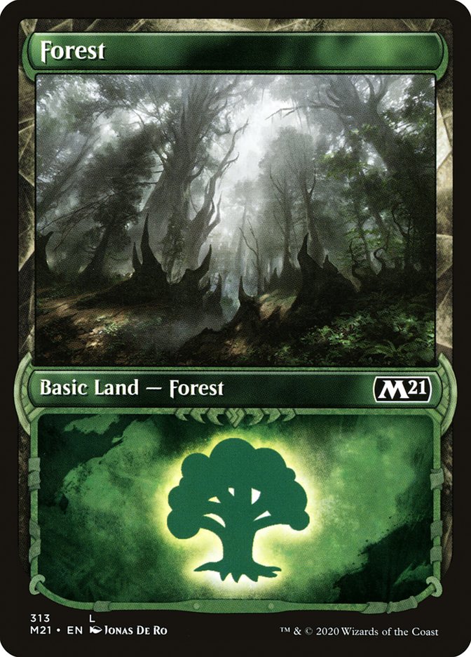 Forest (313) (Showcase) [Core Set 2021] | Chromatic Games